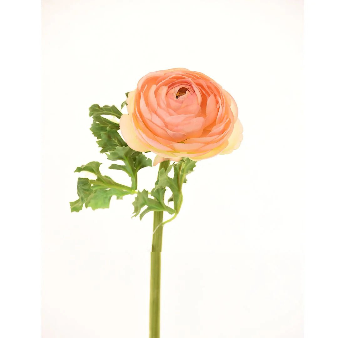 24" Faux Peach Ranunculus - Joy By