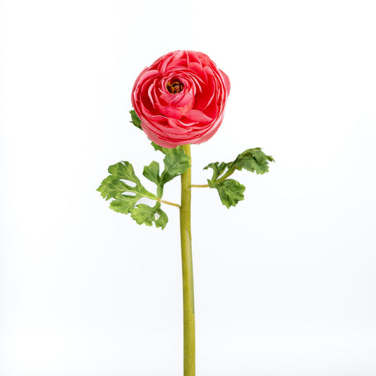 24" Faux Pink Ranunculus - Joy By