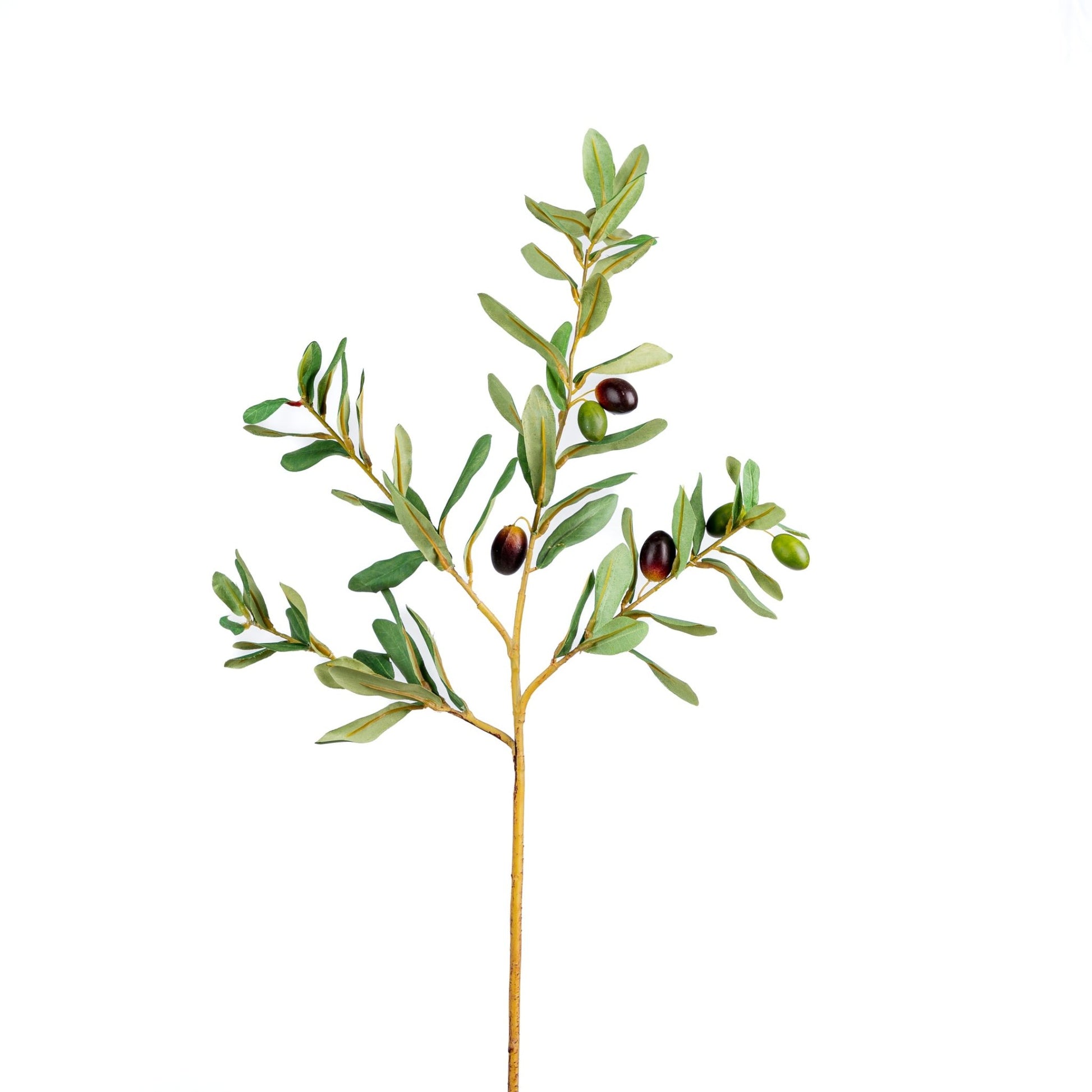 34" Green Olive Branch - Joy By