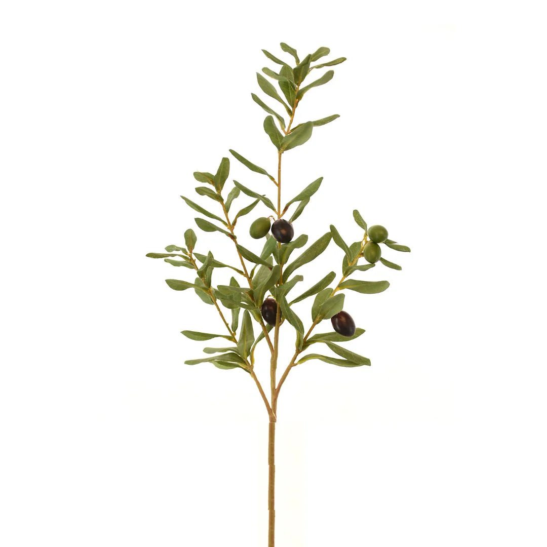 34" Green Olive Branch - Joy By