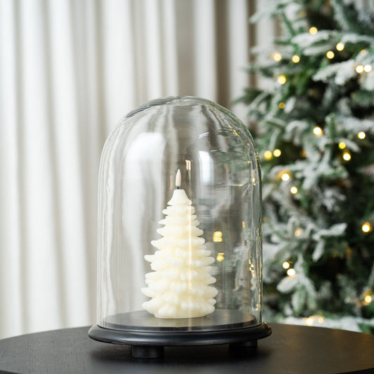 Decorative Glass Cloche With Wooden Base - Medium - Joy By