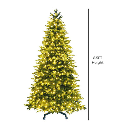 Joy By 8.5' Pre - lit Fraser Fir Christmas Tree with 900 Warm White LED Lights - Joy By