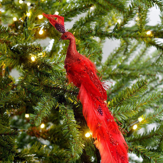 Red Christmas Peacock with Tail Feather - Joy By