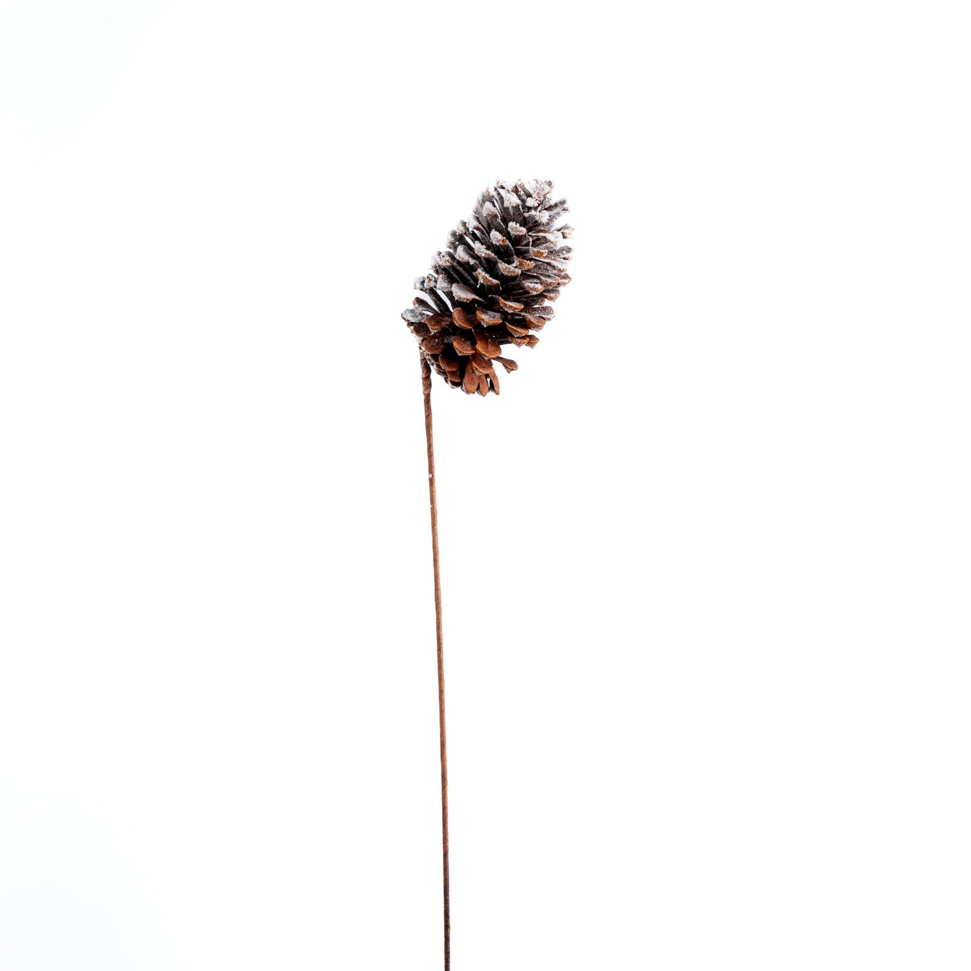 Single Pinecone With Snow Pick - Joy By