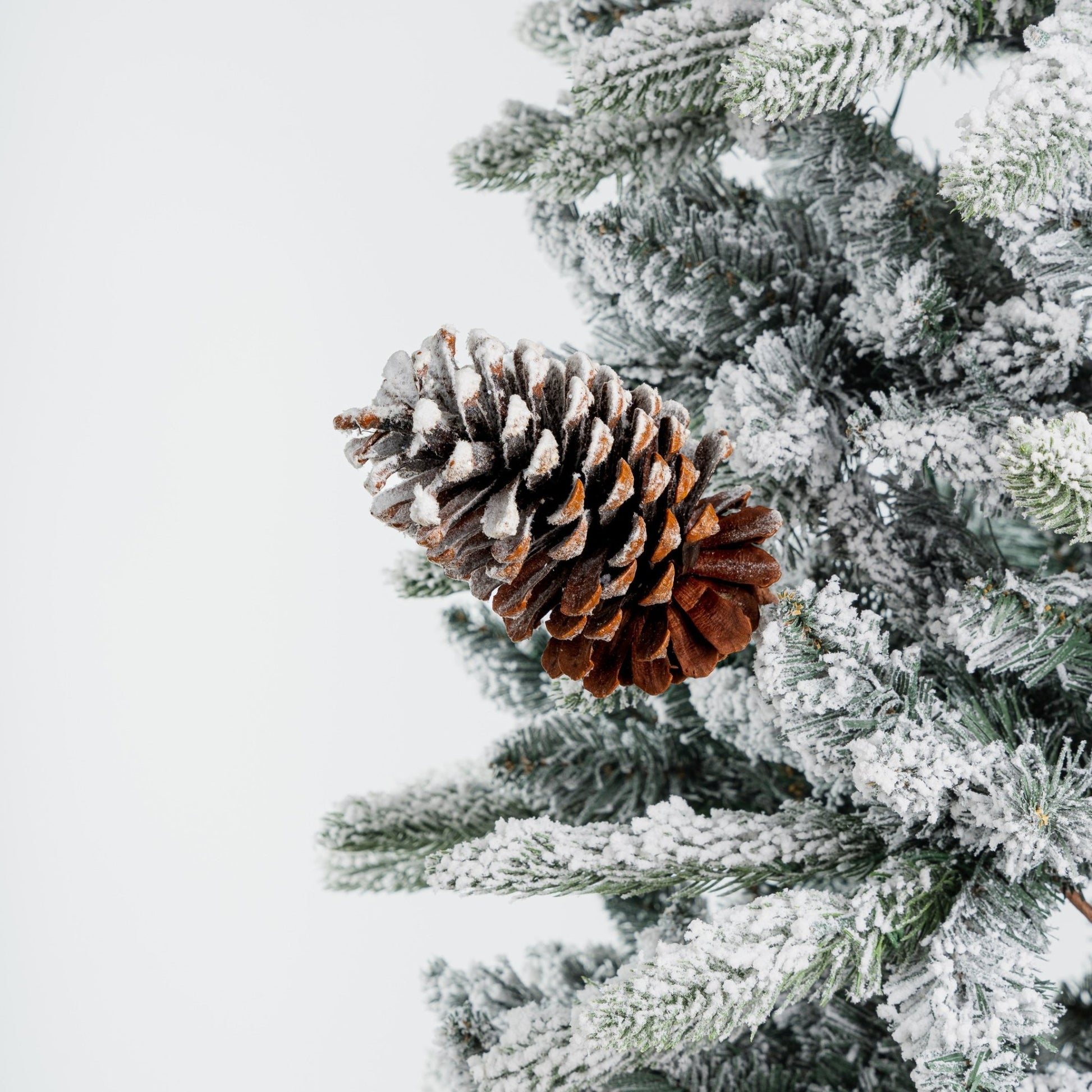 Single Pinecone With Snow Pick - Joy By